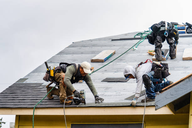 Professional Gutter Installation technician working in Utica, NE